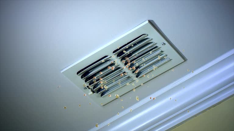 Best Ductwork Cleaning Services  in Blackstone, VA